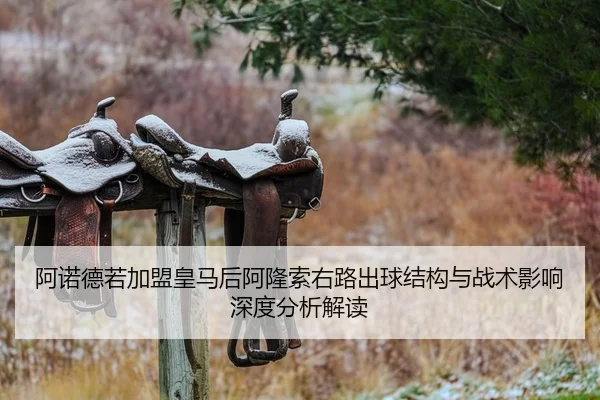 a-nuo-de-ruo-jia-meng-huang-ma-hou-a-long-suo-you-lu-chu-qiu-jie-gou-yu-zhan-shu-ying-xiang-shen-du-fen-xi-jie-du-2-443.jpg