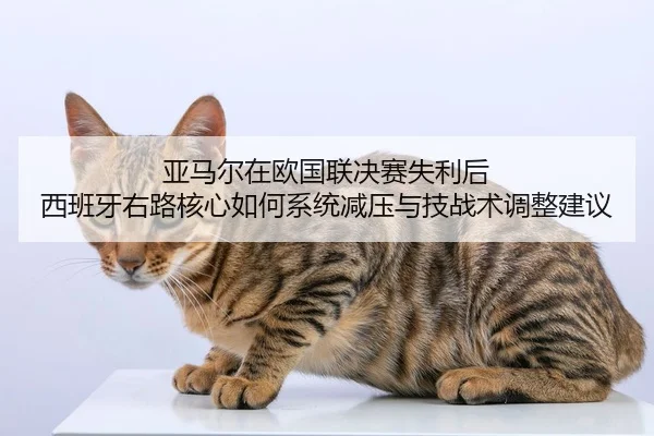 ya-ma-er-zai-ou-guo-lian-jue-sai-shi-li-hou-xi-ban-ya-you-lu-he-xin-ru-he-xi-tong-jian-ya-yu-ji-zhan-shu-tiao-zheng-2-945.jpg