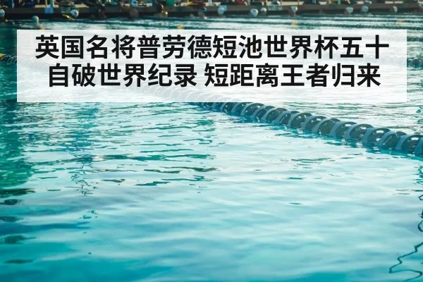 competitive swimming pool lanes